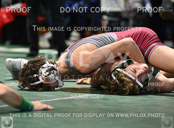 DLS_0870