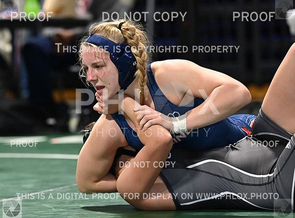 DLS_0719