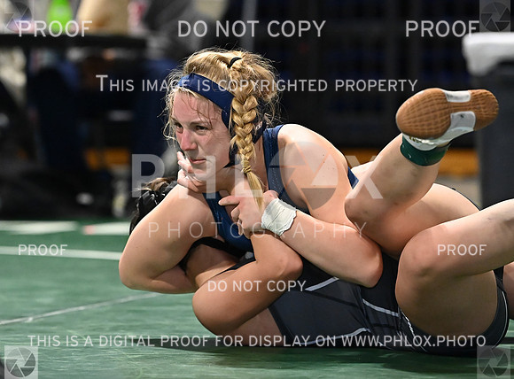 DLS_0718