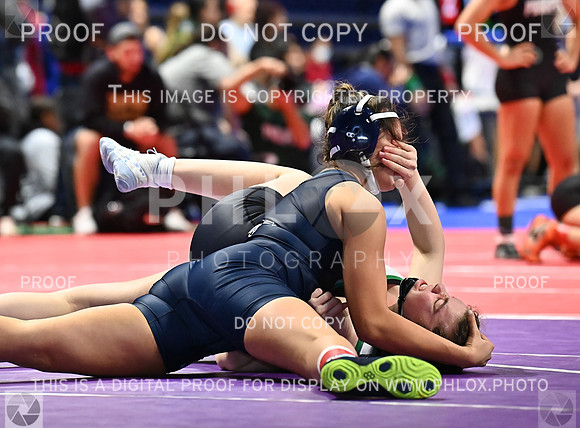 DLS_0713