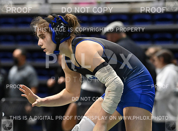 DLS_0724
