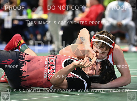 DLS_0887