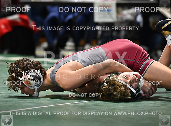 DLS_0872