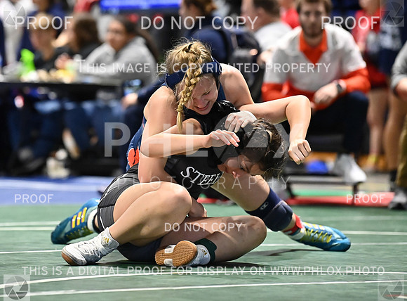 DLS_0687