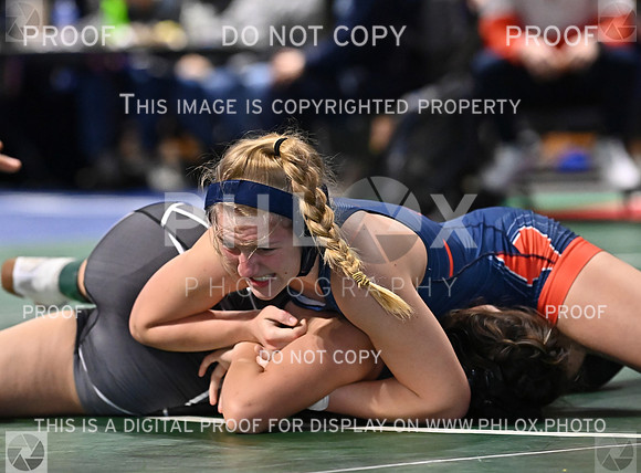 DLS_0696