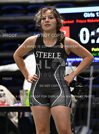 DLS_0708