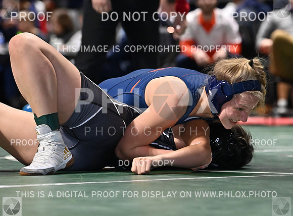 DLS_0698