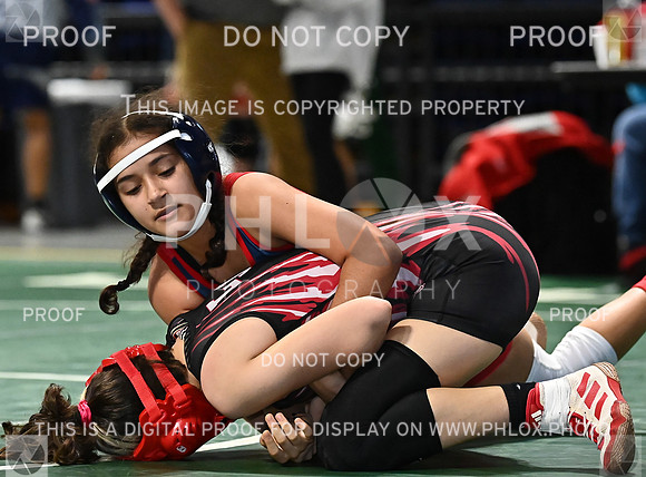 DLS_0637