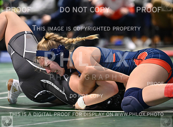 DLS_0693