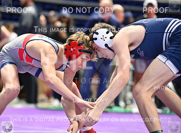 DLS_0806