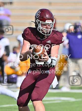 DLS_0859