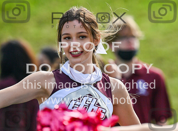 DLS_0926