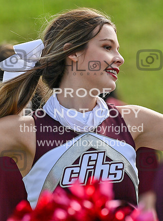 DLS_0927