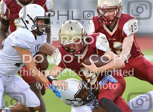 TOM_9593