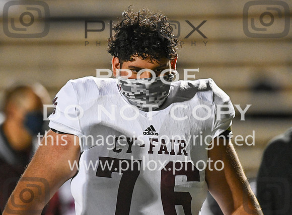DLS_4139