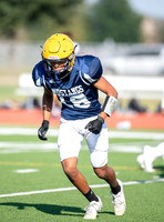 18 DACIAN FIELDS Cy Ranch 10-7