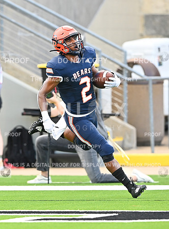 DLS_2123