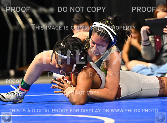 DLS_5036