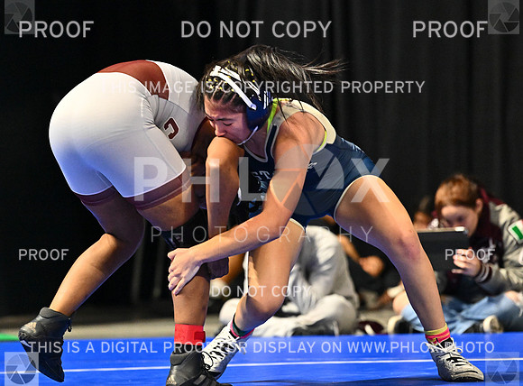 DLS_5017