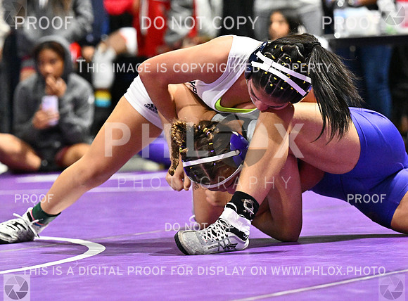 DLS_6673