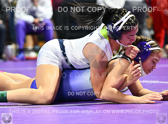 DLS_6668-2