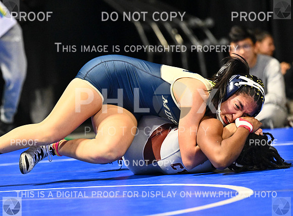 DLS_5042