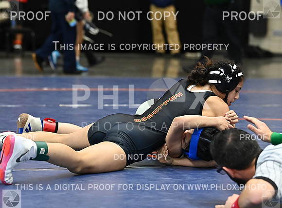 DLS_1052