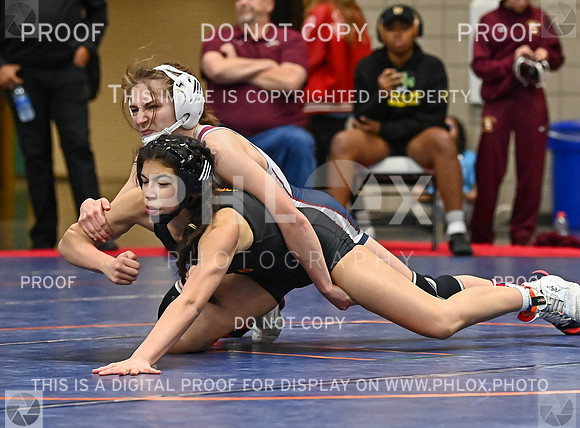 DLS_0432