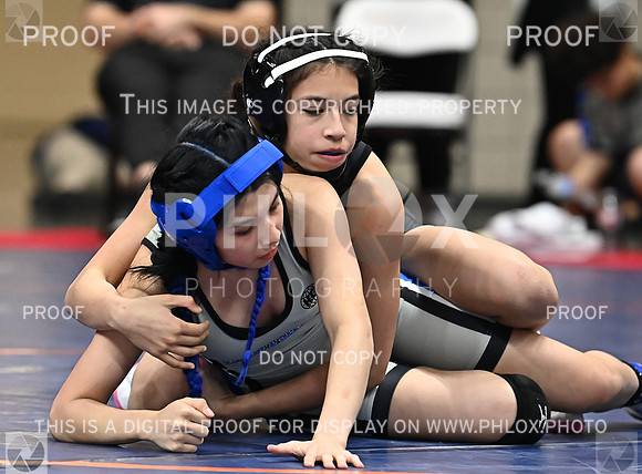 DLS_1023