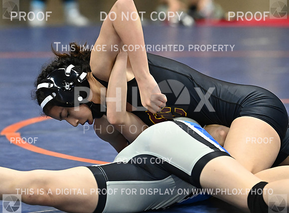 DLS_1038