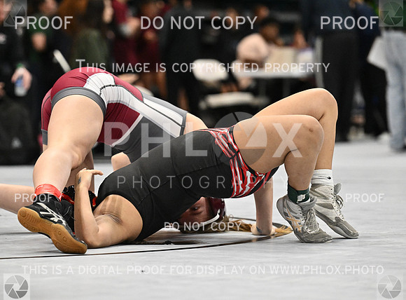 DLS_5094