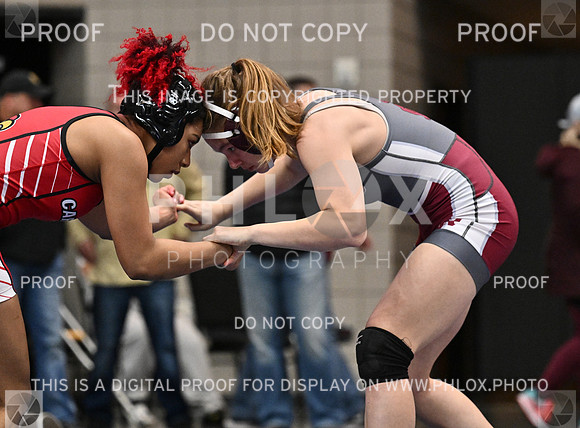 DLS_4440
