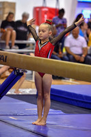Stars Gymnastics Training Center Houston