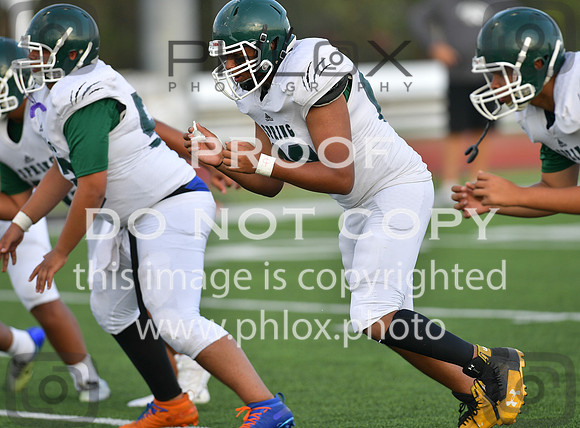 TOM_9006