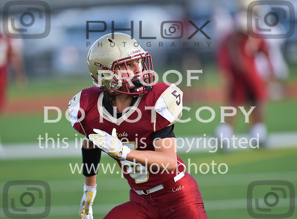 TOM_9033