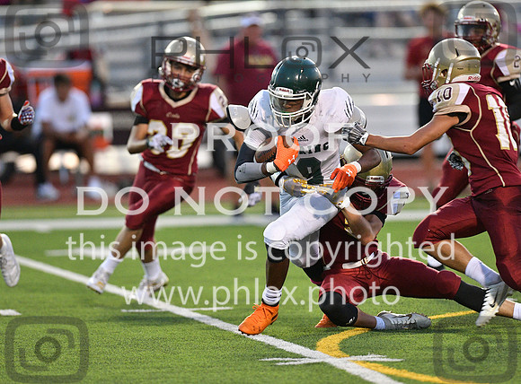 TOM_0231