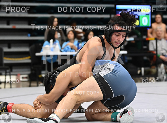 DLS_9985