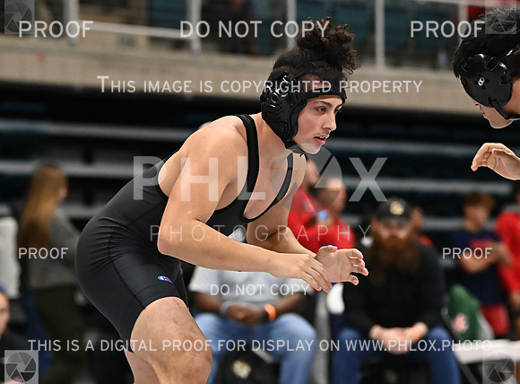 DLS_9976