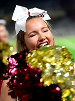 TOM_8160