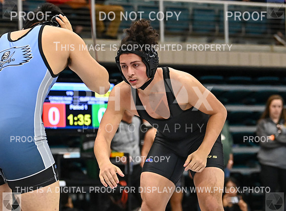 DLS_9980
