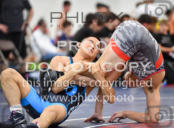 FDS_2619