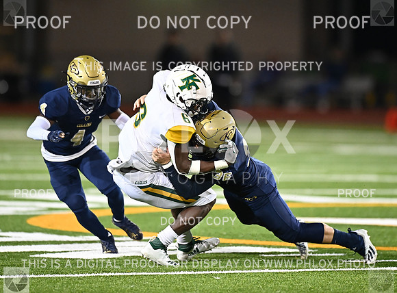 DLS_8613