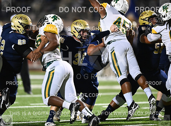DLS_8584