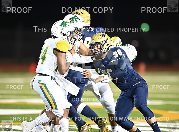 DLS_8442