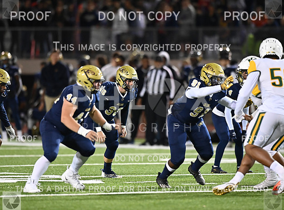 DLS_8589