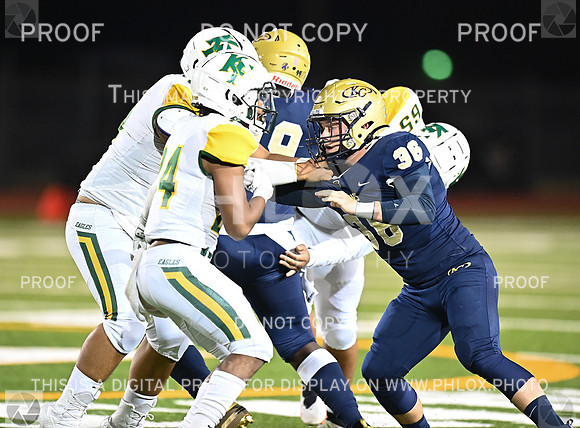 DLS_8443