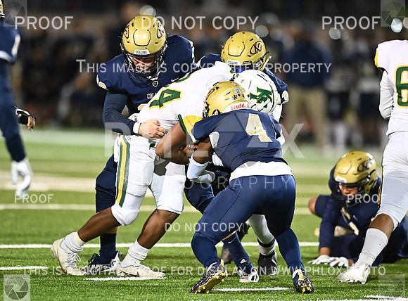DLS_8724
