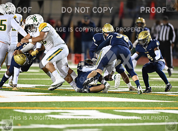 DLS_8602