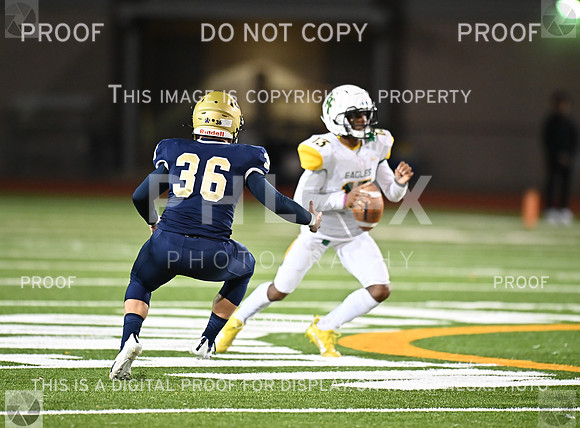 DLS_8620