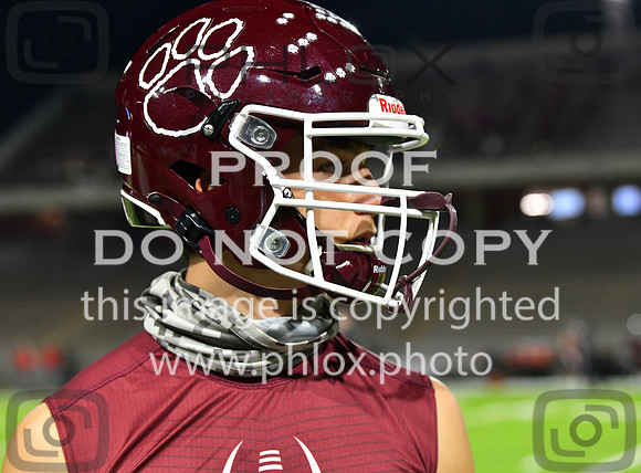 DLS_5283